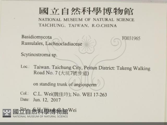 登錄號:F0031965藏品圖，第2張