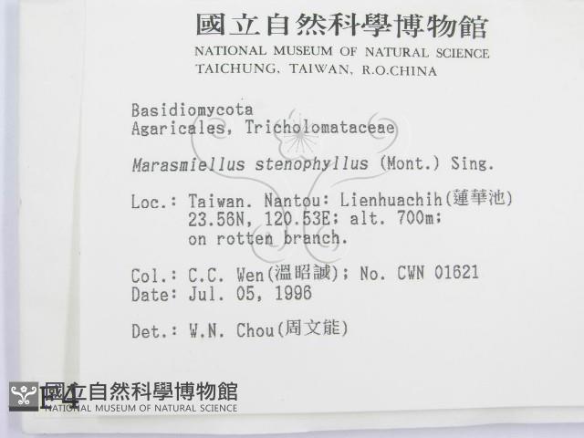 登錄號:F0004965藏品圖，第2張