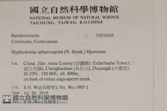 登錄號:F0034965藏品圖，第2張