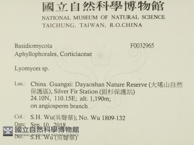 登錄號:F0032965藏品圖，第2張