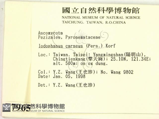 登錄號:F0007965藏品圖，第2張