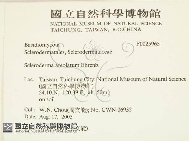 登錄號:F0025965藏品圖，第2張