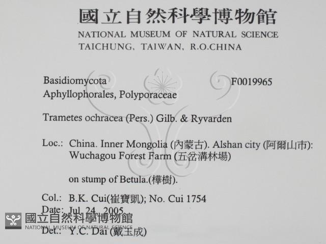 登錄號:F0019965藏品圖，第2張