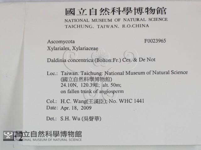 登錄號:F0023965藏品圖，第2張