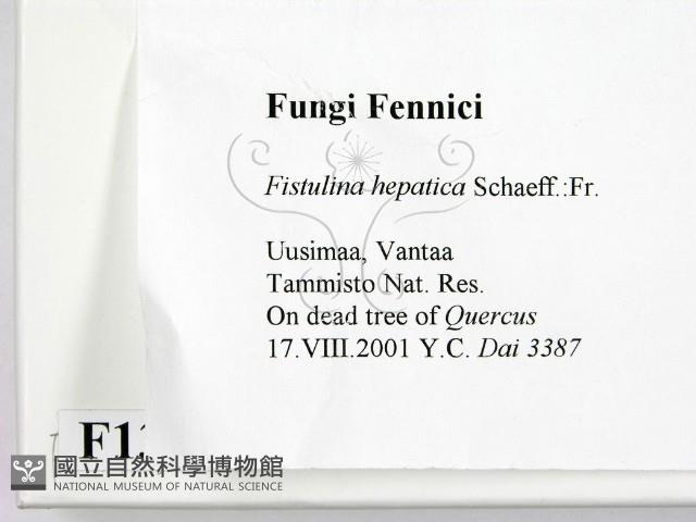 登錄號:F0013965藏品圖，第2張