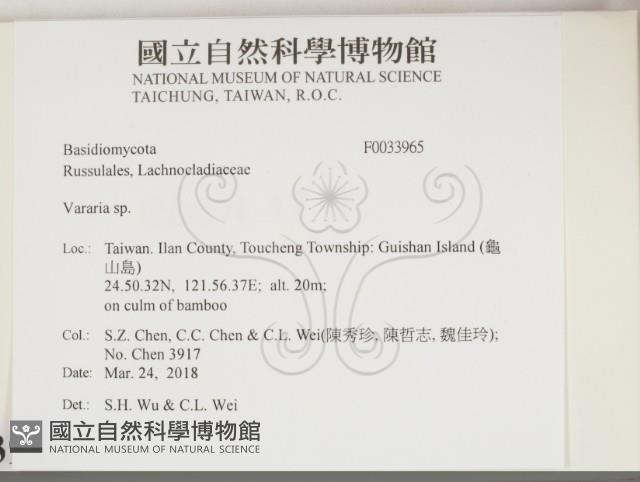 登錄號:F0033965藏品圖，第2張