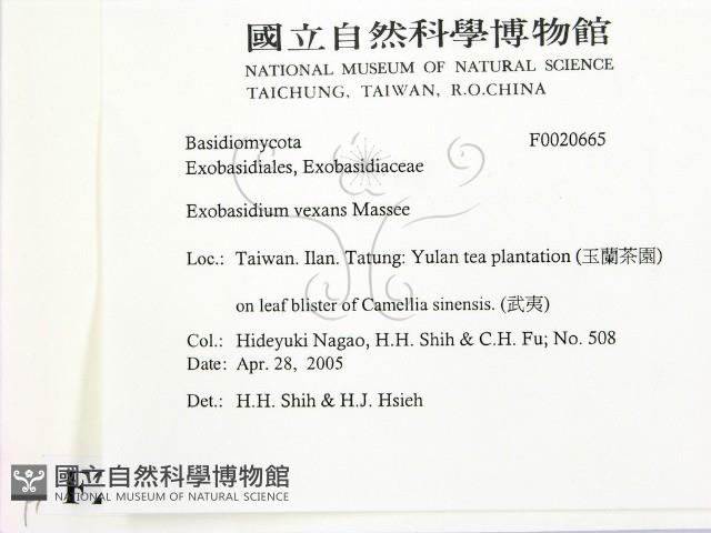 登錄號:F0020665藏品圖，第2張