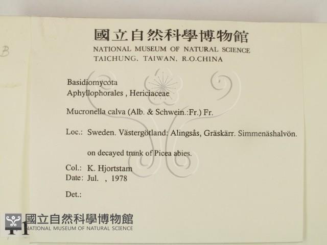 登錄號:F0016665藏品圖，第2張