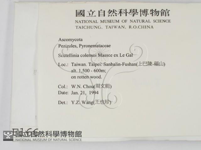 登錄號:F0001665藏品圖，第2張