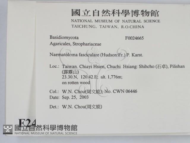 登錄號:F0024665藏品圖，第2張