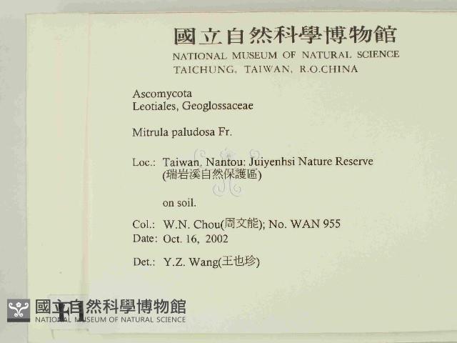 登錄號:F0014665藏品圖，第2張