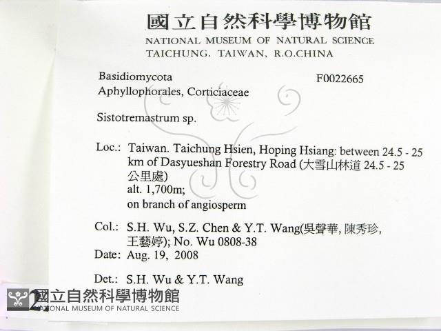 登錄號:F0022665藏品圖，第2張