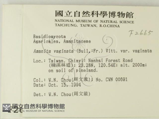 登錄號:F0002665藏品圖，第2張