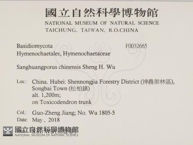 漆屬桑黃藏品圖，第2張