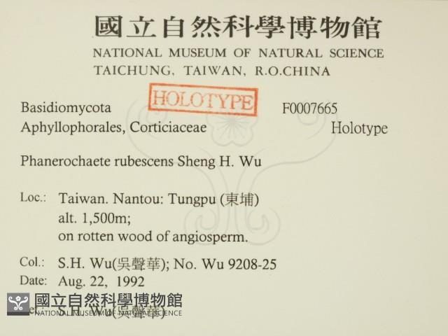 登錄號:F0007665藏品圖，第2張