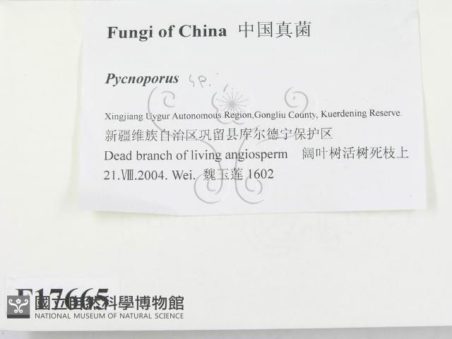 登錄號:F0017665藏品圖，第2張