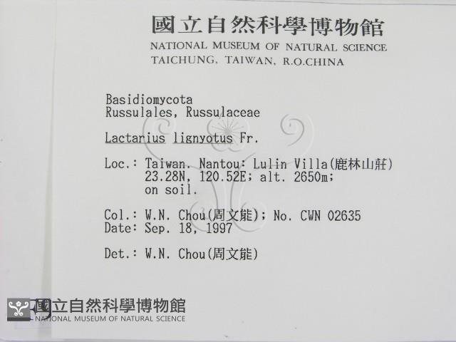 登錄號:F0009665藏品圖，第2張