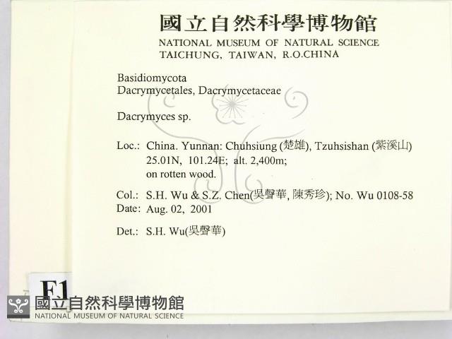 花耳屬藏品圖，第2張