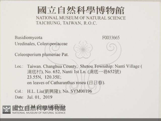 登錄號:F0033665藏品圖，第2張