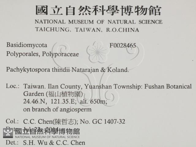 登錄號:F0028465藏品圖，第2張
