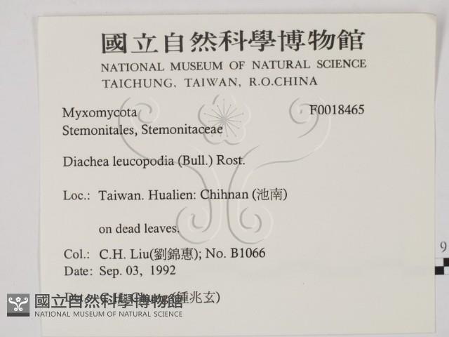 登錄號:F0018465藏品圖，第2張