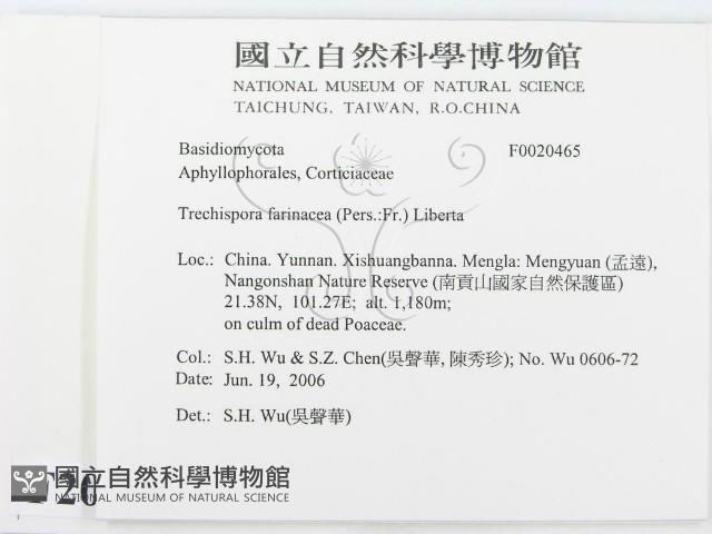 登錄號:F0020465藏品圖，第2張