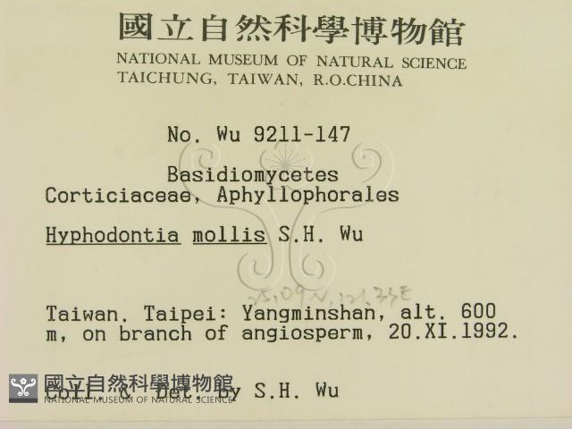 登錄號:F0000465藏品圖，第2張