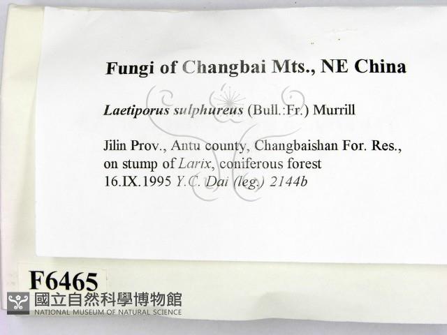 登錄號:F0006465藏品圖，第2張