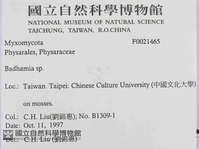 登錄號:F0021465藏品圖，第2張