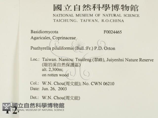 登錄號:F0024465藏品圖，第2張