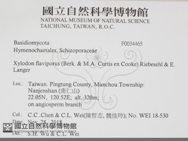 登錄號:F0034465藏品圖，第2張