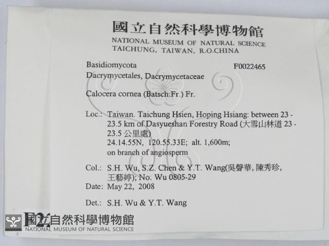 登錄號:F0022465藏品圖，第2張