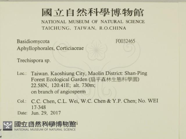 登錄號:F0032465藏品圖，第2張