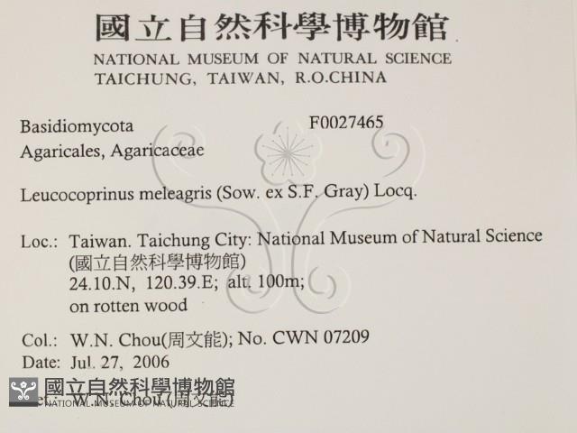 Accession Number:F0027465 Collection Image, Figure 2, Total 3 Figures