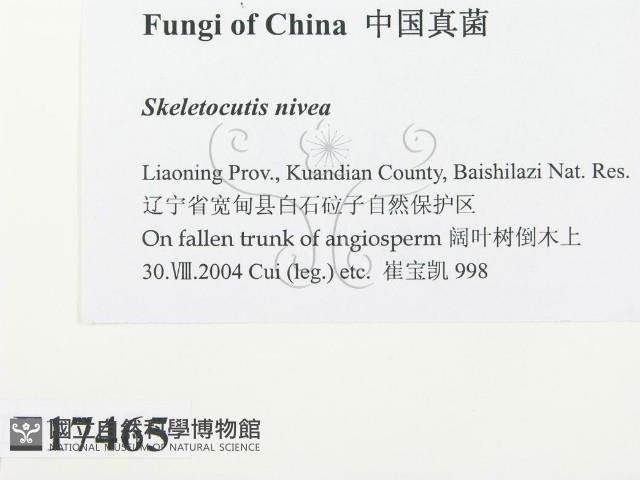 登錄號:F0017465藏品圖，第2張