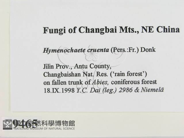 登錄號:F0009465藏品圖，第2張