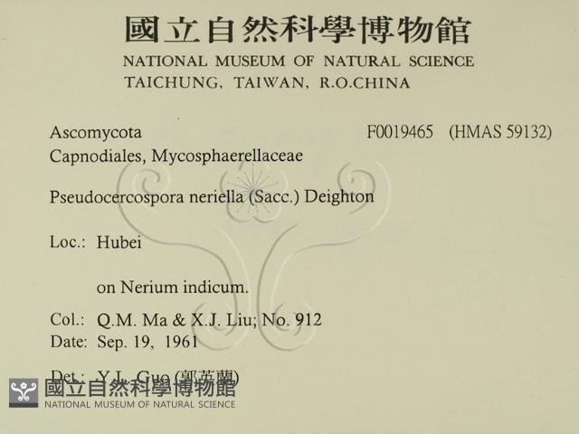 登錄號:F0019465藏品圖，第2張