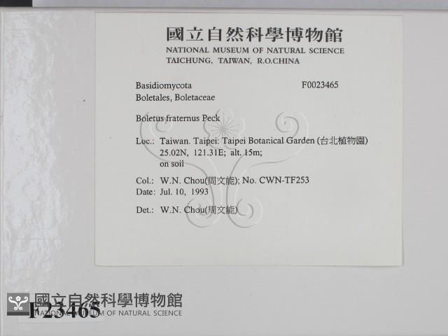 登錄號:F0023465藏品圖，第2張