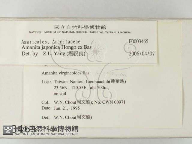 登錄號:F0003465藏品圖，第2張