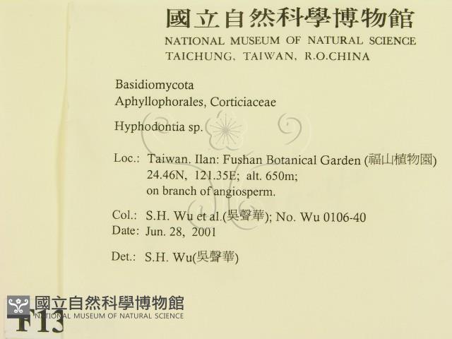 登錄號:F0013465藏品圖，第2張