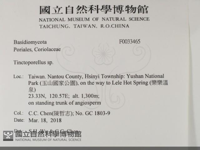 登錄號:F0033465藏品圖，第2張