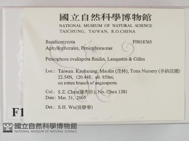 登錄號:F0018765藏品圖，第2張