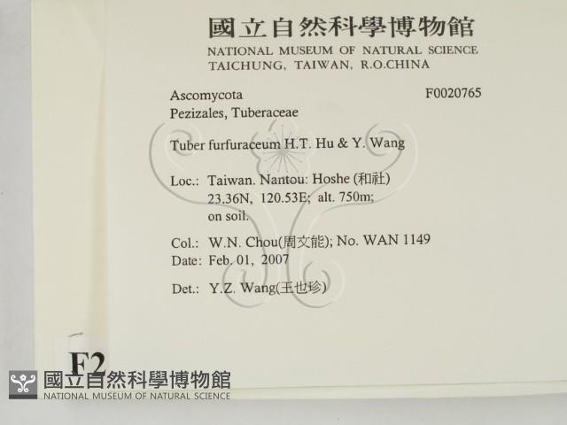 登錄號:F0020765藏品圖，第2張