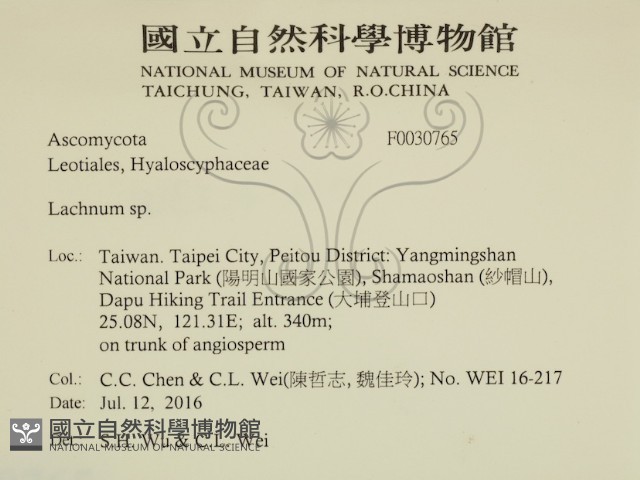 登錄號:F0030765藏品圖，第2張