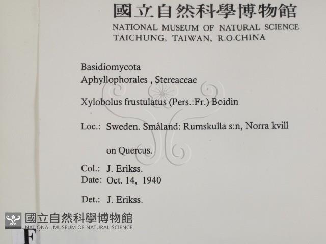 登錄號:F0016765藏品圖，第2張