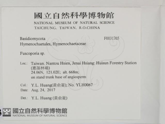 登錄號:F0031765藏品圖，第2張