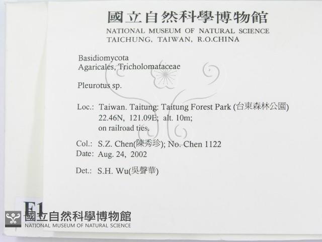 登錄號:F0014765藏品圖，第2張