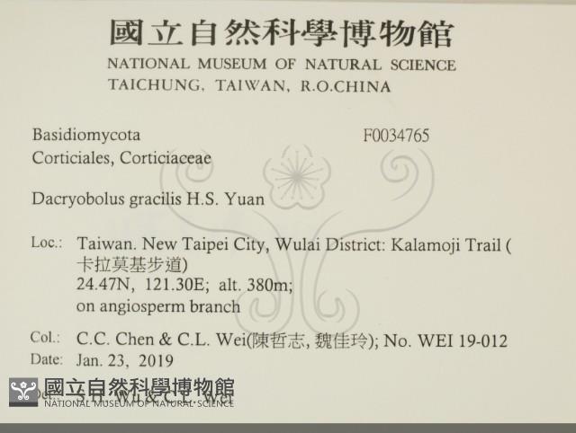 登錄號:F0034765藏品圖，第2張