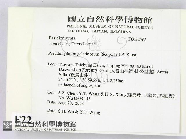 登錄號:F0022765藏品圖，第2張