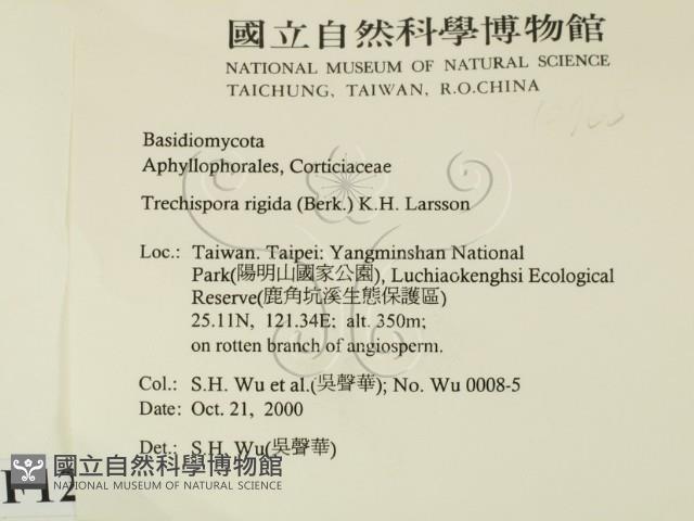 登錄號:F0012765藏品圖，第2張